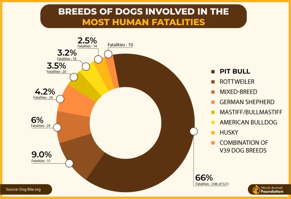 Appleton Dog Bite Statistics Top 10 Dogs to Bite